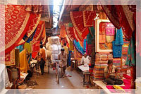 due splendide settimane in rajasthan